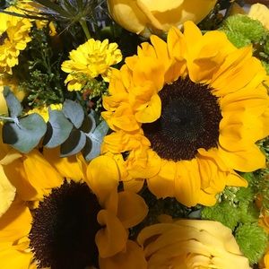 Meet your Posher, Tracey